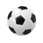 Fußballverein